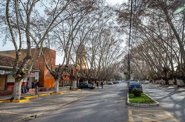 Avenida interior del condominio con árboles